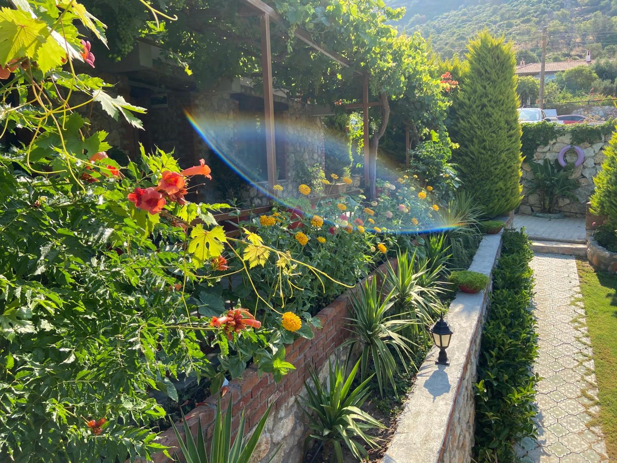 Hotel Suna House Sogut  Zewnętrze zdjęcie