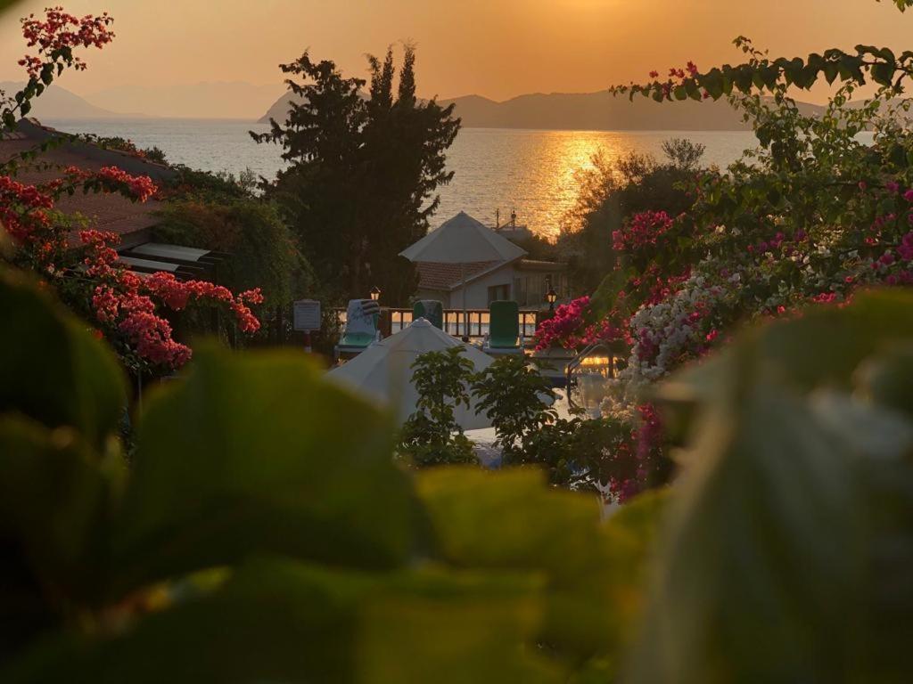 Hotel Suna House Sogut  Zewnętrze zdjęcie